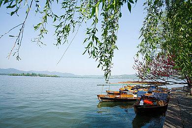 《DOTA2》Nigma战队光速找到了新的三四号位